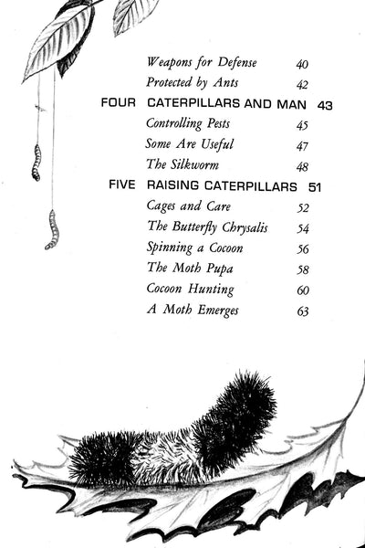 Caterpillars and How They Live by R. M. McClung