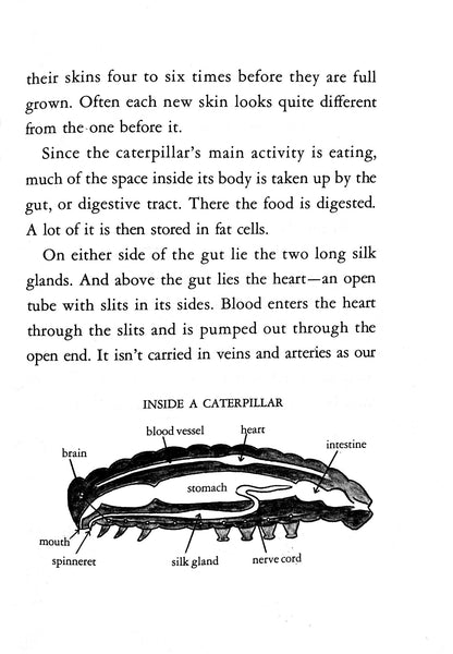 Caterpillars and How They Live by R. M. McClung