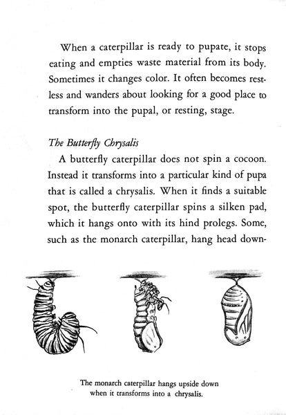 Caterpillars and How They Live by R. M. McClung