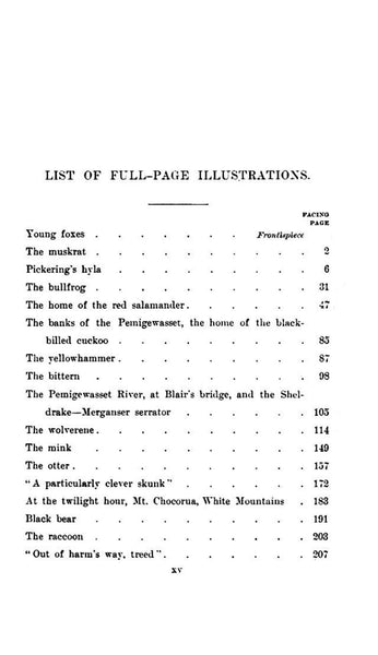 Familiar Life in the Field and Forest by F Schuyler Mathews, Illustrated, 1898